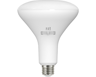 BR40-WS3-E26-6CCT-DIM large thumb-1