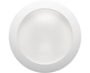 DISK34-8/CL large thumb-1