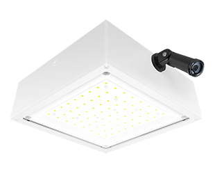  This is a link to the product VANLED10NFW/PCS