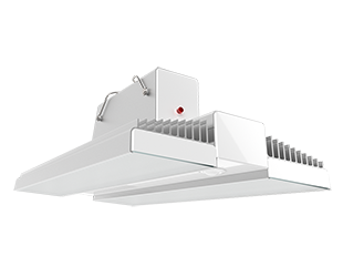  This is a link to the product RAIL175N/LCS/E